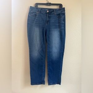 Size 16 Time and Tru Jeans